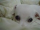 DSC04869 (Small)