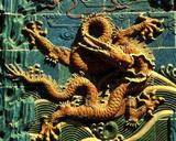 dragon-BOFOOMEN003