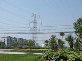 DSC00839