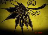 DSC00761