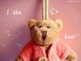 DSC00954x