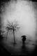FOG_002_by_scarabuss