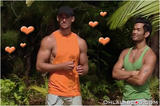 survivor2006071006021ig