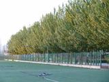 DSC00442