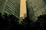 P1010629