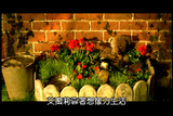 小熊~春
