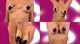 Unknown@AmericanPiePresentsBetaHouse-Boo