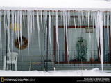 icicles-523338-sw