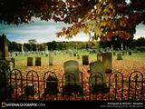 fall-graveyard-523325-sw
