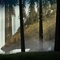 swain02_TheGreatBear