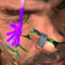 main-ryan1