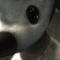89e1b289abe3a45c15548b9a36a34310[1]