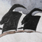 main-badgered3