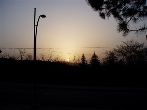 夕阳无限好