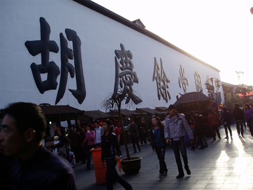 胡庆余堂 080301