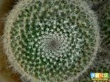 9edc4d2f469be4c168ad6cc94132aa90