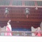 调整大小 DSCF0243