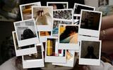 collage2