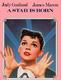 Judy Garland （A Star Is Born）