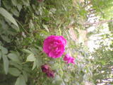 IMG0034A