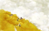 HHFJ_2009
