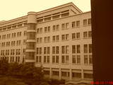 DSC00195