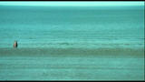 暴风截屏2008