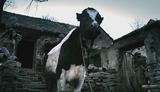 [斗牛].Cow.2009.CN.DVDRip.XviD-XTM.CD1[(00