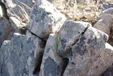 2009-10-24 西灵山（KM） 046 (800x536)