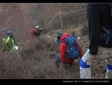 0910251249365566