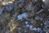 2009-10-24 西灵山（KM） 041 (800x536)