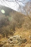2009-10-24 西灵山（KM） 003 (536x800)
