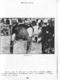 IMAGE0161