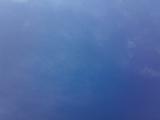 04272009321