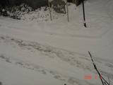 DSC01516