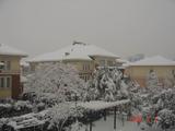 DSC01504
