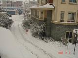 DSC01515