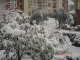 DSC01505