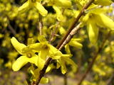 IMG_0088_缩小大小_exposure