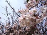 IMG_0072_缩小大小_exposure