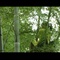 snapshot20070903085652