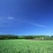 u=3459948856,2232800969&fm=0&gp=14[1]
