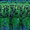 olympics_opening_02