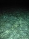 海水3