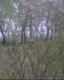IMG0233A