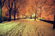 During the snowfall, so that reminds me 