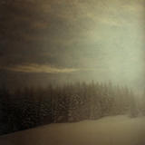 Winter Comes