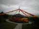 DSCN0564
