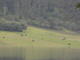 DSCN0474