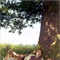 Brideshead Revisited02